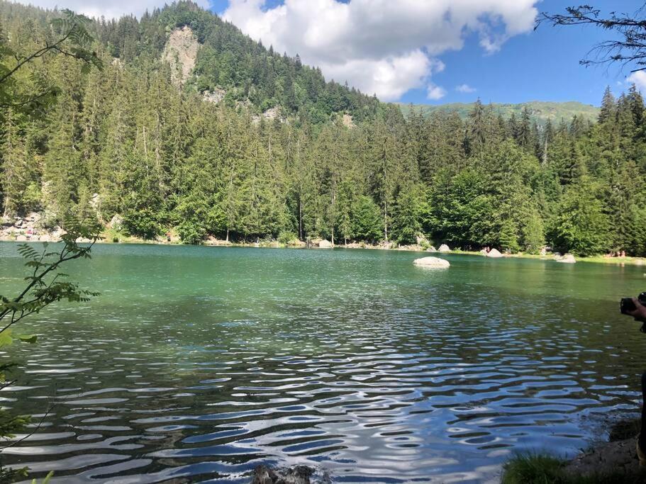 Appartement Au Pays Du Mont-Blanc Sallanches Eksteriør billede